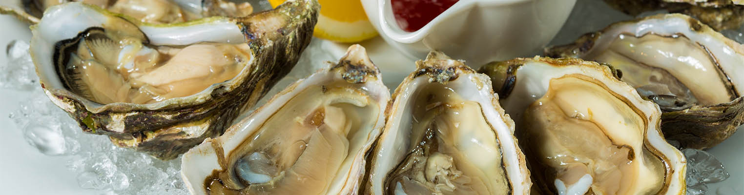 Fresh seafood restaurant and live music venue | Tony's Oyster Bar MacGregor Village Cary, NC